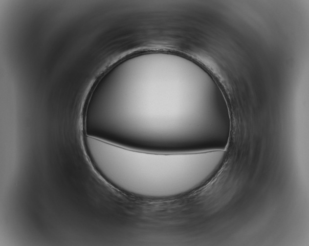 X0000093491335200710121006