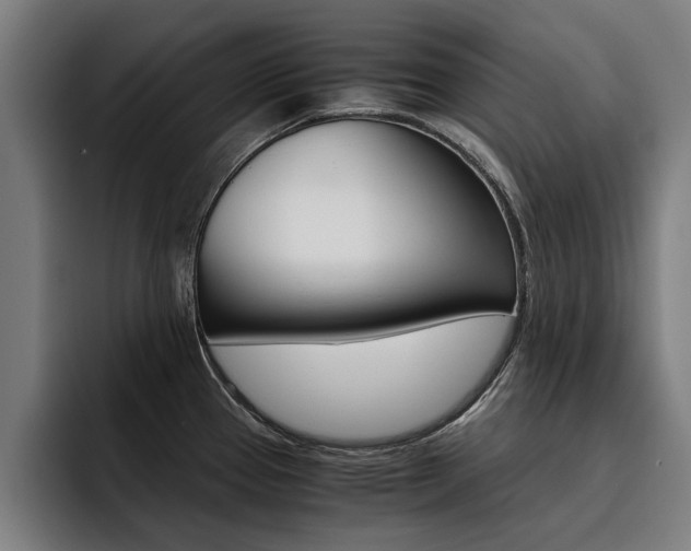 X0000093491337200710121006