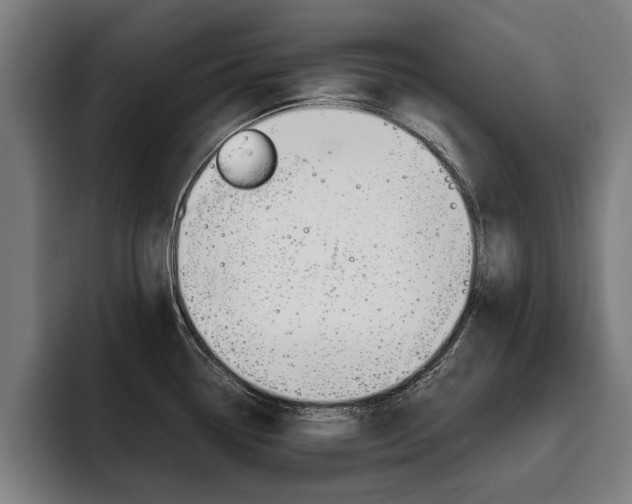 X0000093491338200710121006