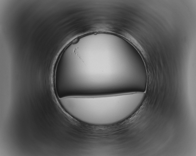 X0000093491339200710121006