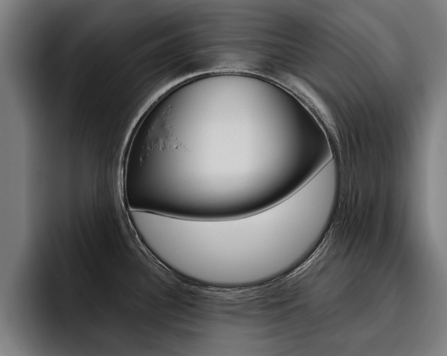 X0000093491340200710121006