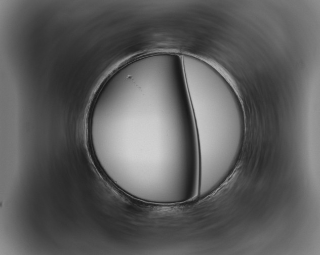 X0000093491341200710121006