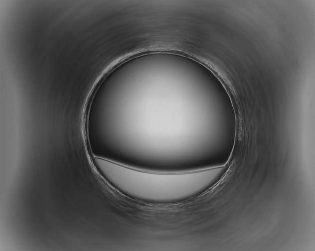 X0000093491342200710121006