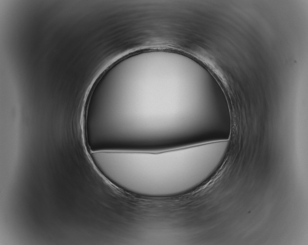 X0000093491343200710121006
