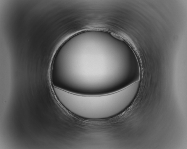 X0000093491344200710121006
