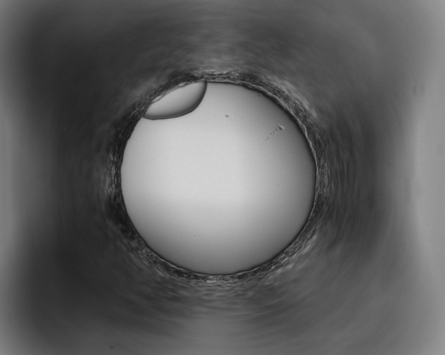 X0000093491350200710121005