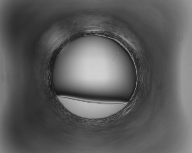 X0000093491351200710121005