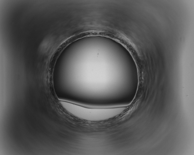 X0000093491352200710121005