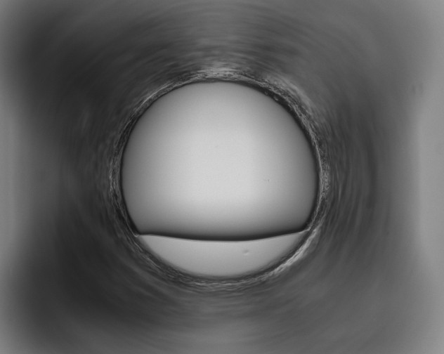 X0000093491353200710121005