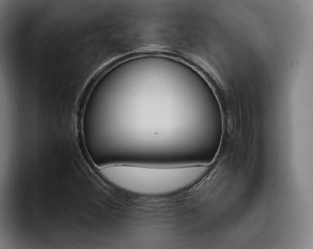 X0000093491356200710121005