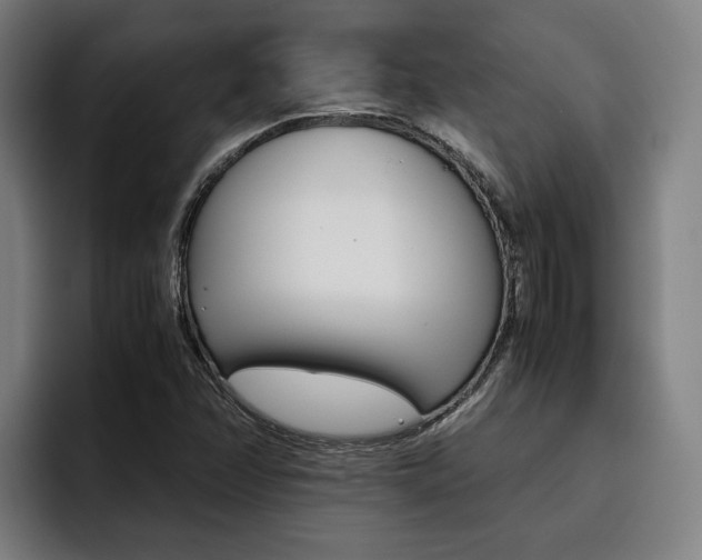 X0000093491358200710121005