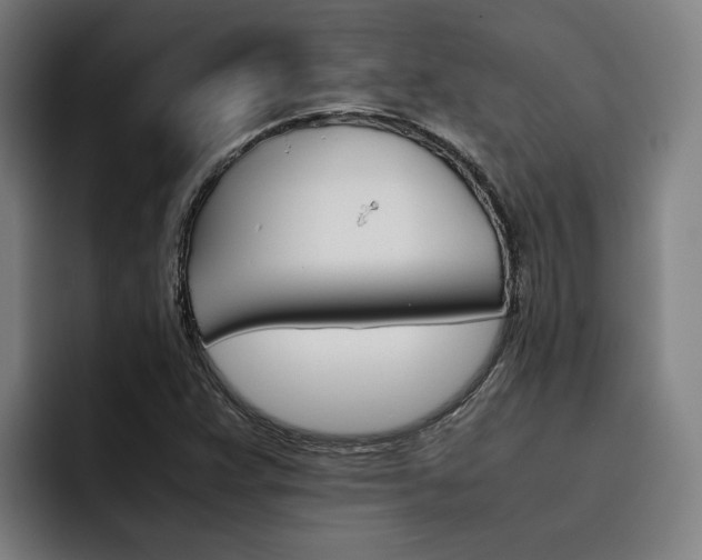 X0000093491359200710121005