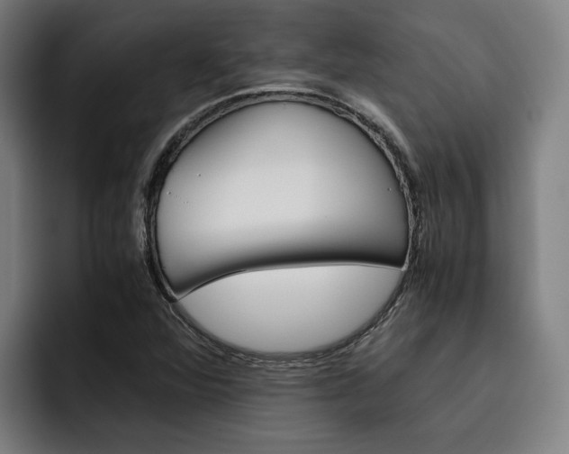 X0000093491360200710121005