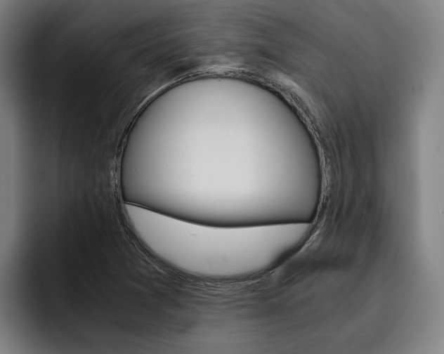 X0000093491361200710121005