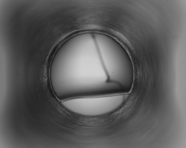 X0000093491364200710121005