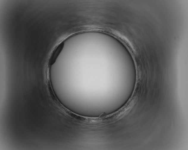 X0000093491365200710121005