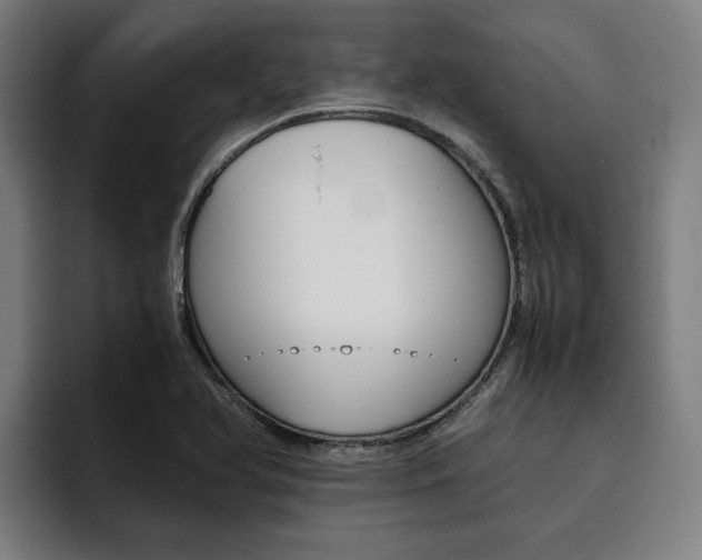 X0000093491366200710121005