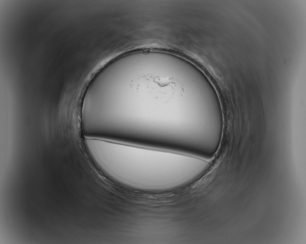 X0000093491367200710121005