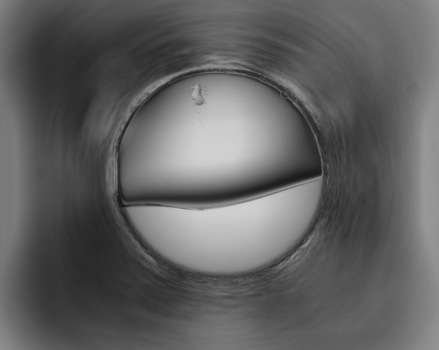 X0000093491371200710121005