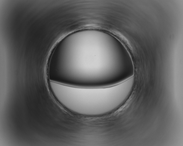 X0000093491373200710121005