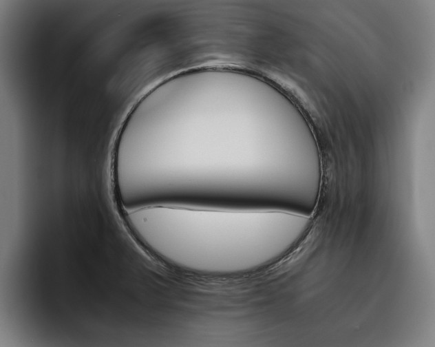 X0000093491375200710121005