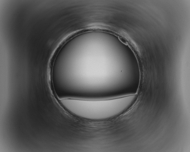 X0000093491376200710121005