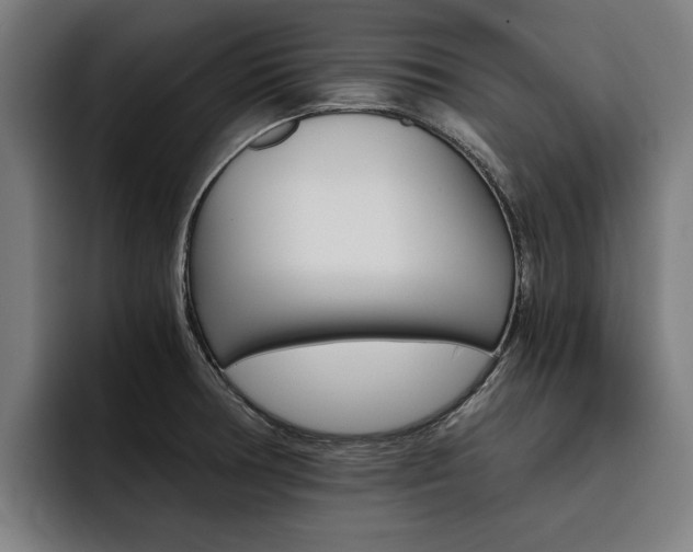 X0000093491378200710121005