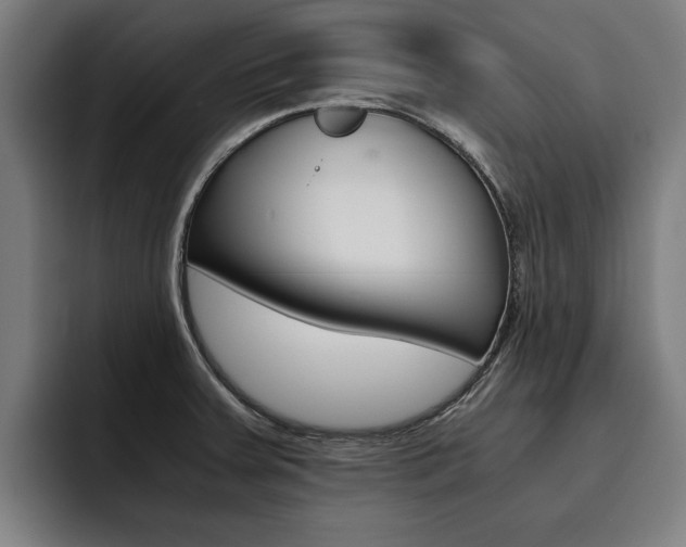 X0000093491379200710121005