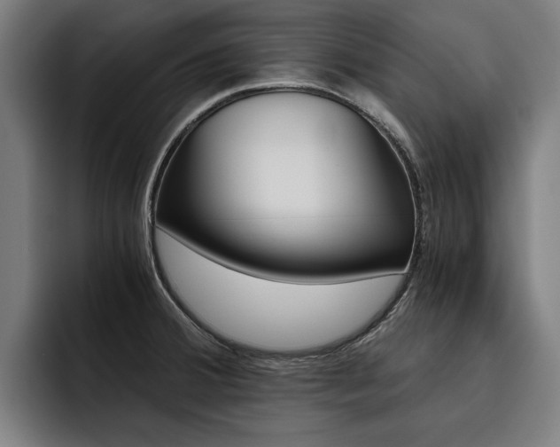 X0000093491380200710121005