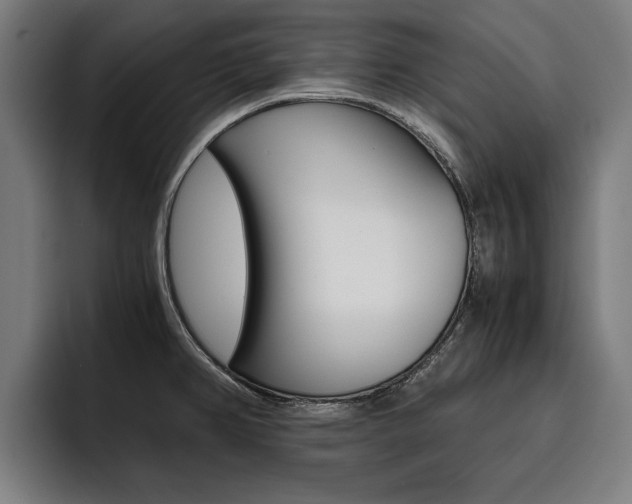 X0000093491382200710121005