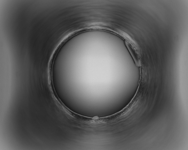 X0000093491384200710121005