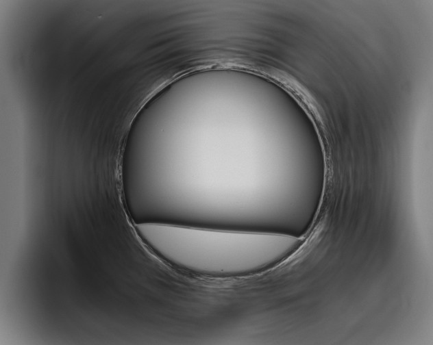 X0000093491385200710121005