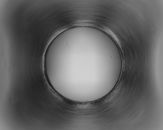 X0000093491386200710121005
