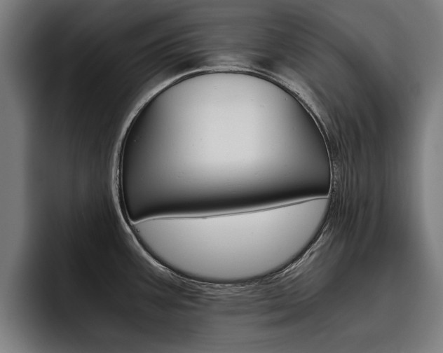 X0000093491387200710121005