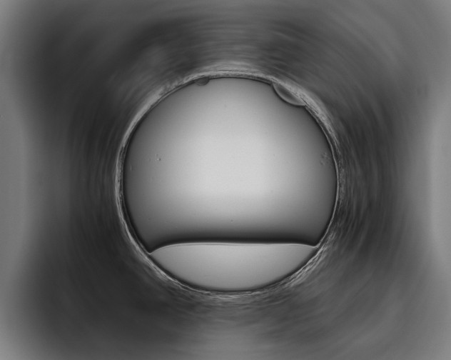 X0000093491390200710121005