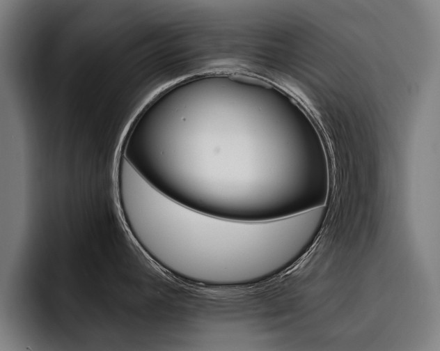 X0000093491392200710121005