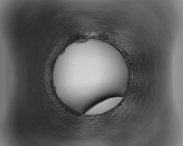 X0000093491393200710121004