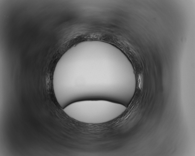 X0000093491395200710121004