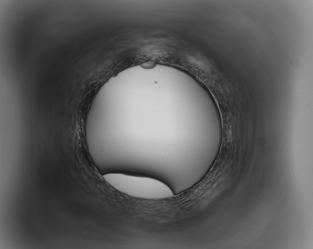 X0000093491397200710121004