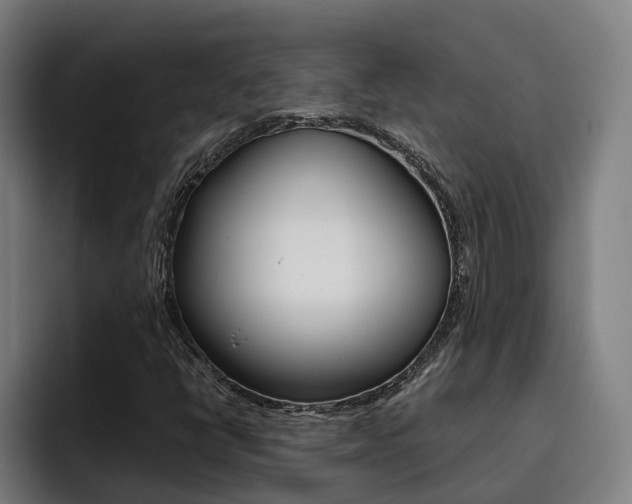X0000093491398200710121004