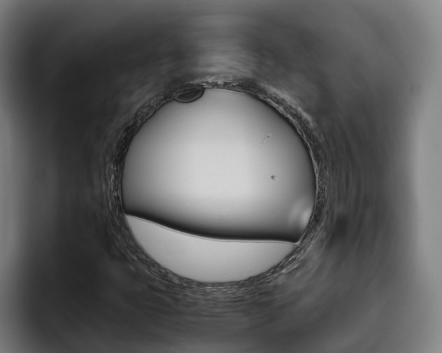 X0000093491399200710121004