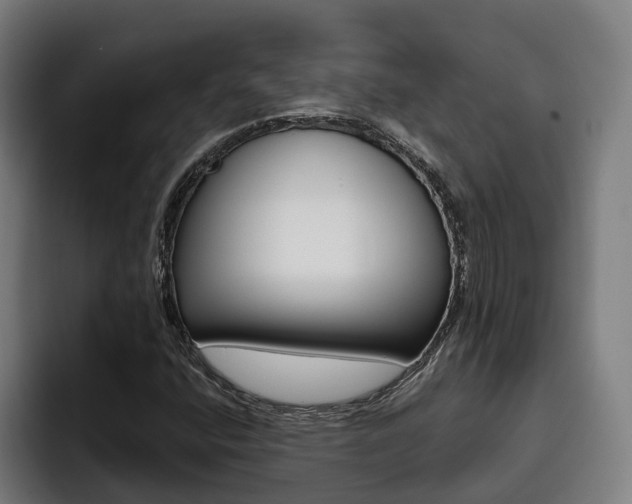 X0000093491400200710121004