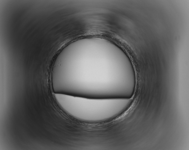X0000093491401200710121004