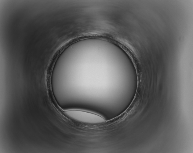 X0000093491404200710121004