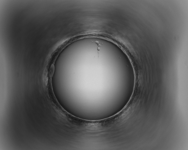 X0000093491406200710121004