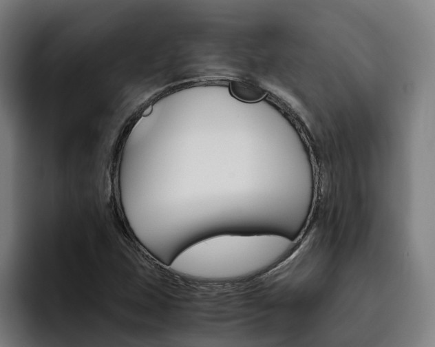 X0000093491407200710121004