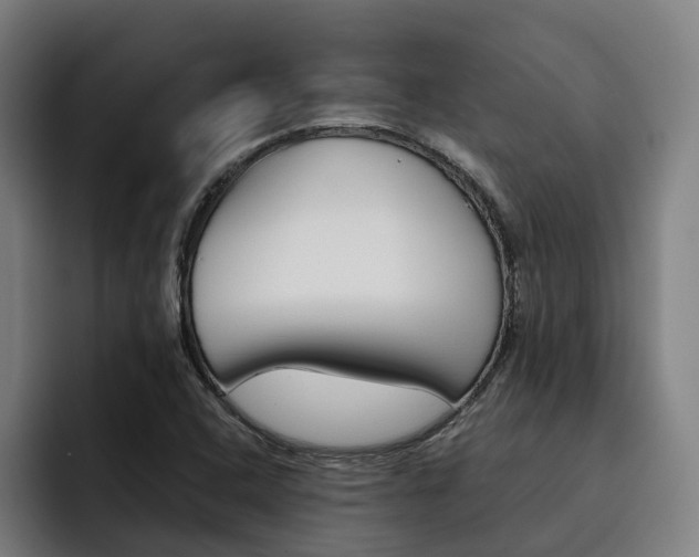 X0000093491408200710121004