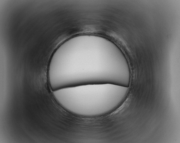 X0000093491409200710121004