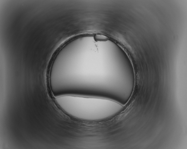X0000093491412200710121004