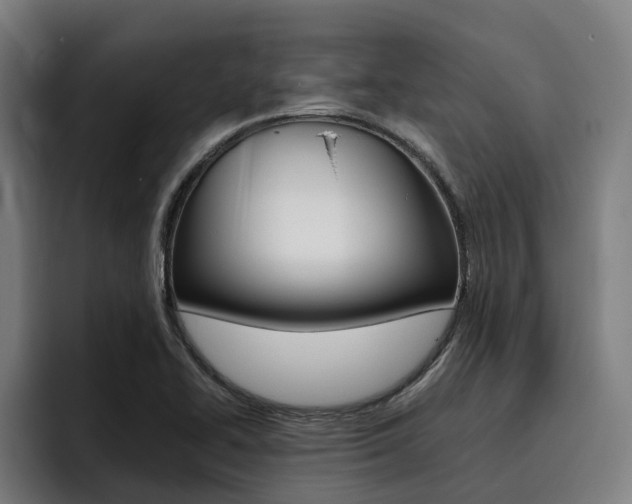 X0000093491414200710121004
